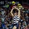 289582-tlssmallthumbnail.jpg